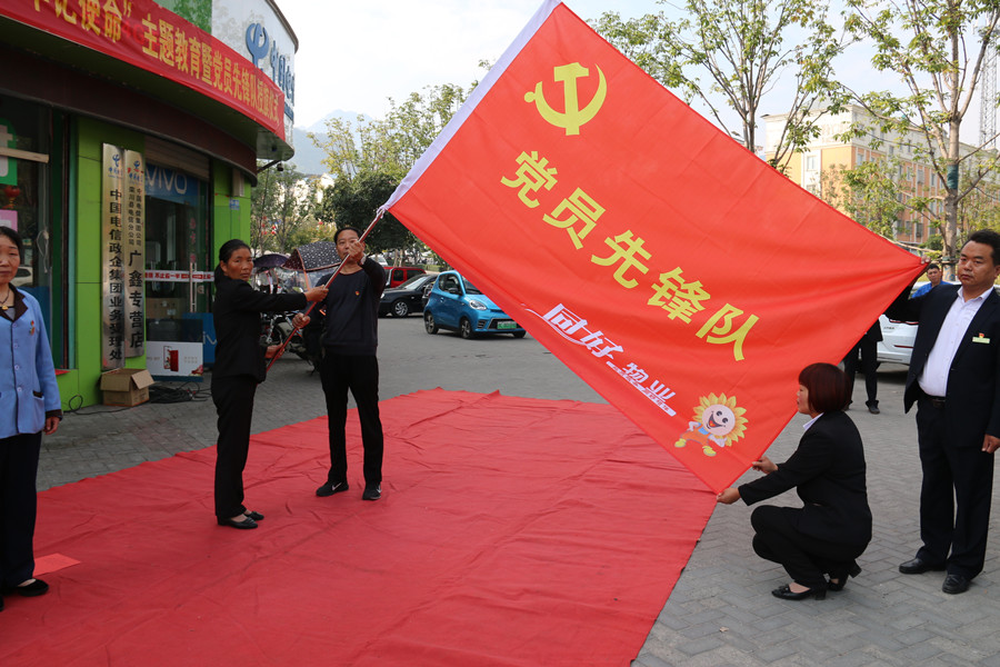 黨員先鋒隊(duì)授旗儀式